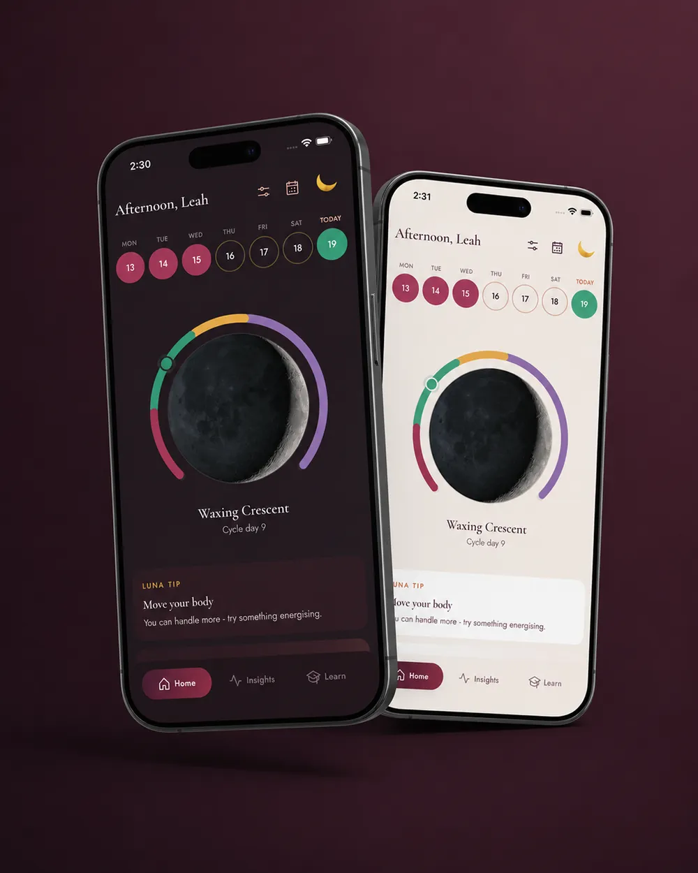 Luna theme options screen